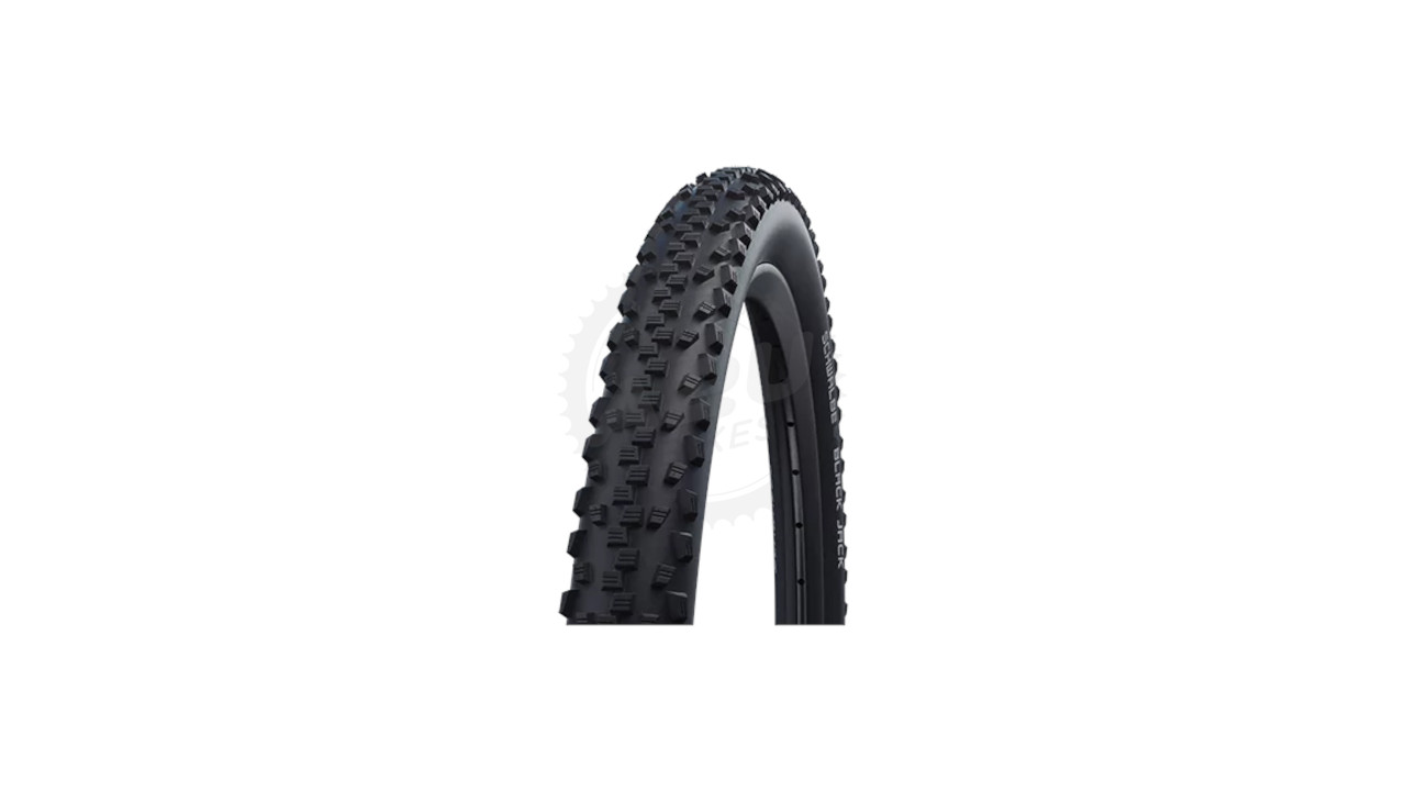 PLAŠČ SCHWALBE BLACK JACK HS 407